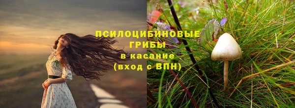 MESCALINE Арсеньев