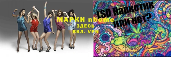 гашик Балахна