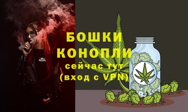 гашик Балахна