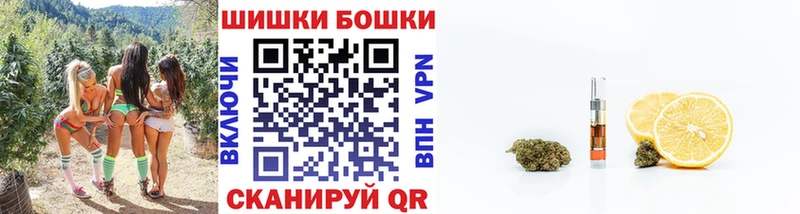 Канабис гибрид как найти закладки блэк спрут Гаджиево